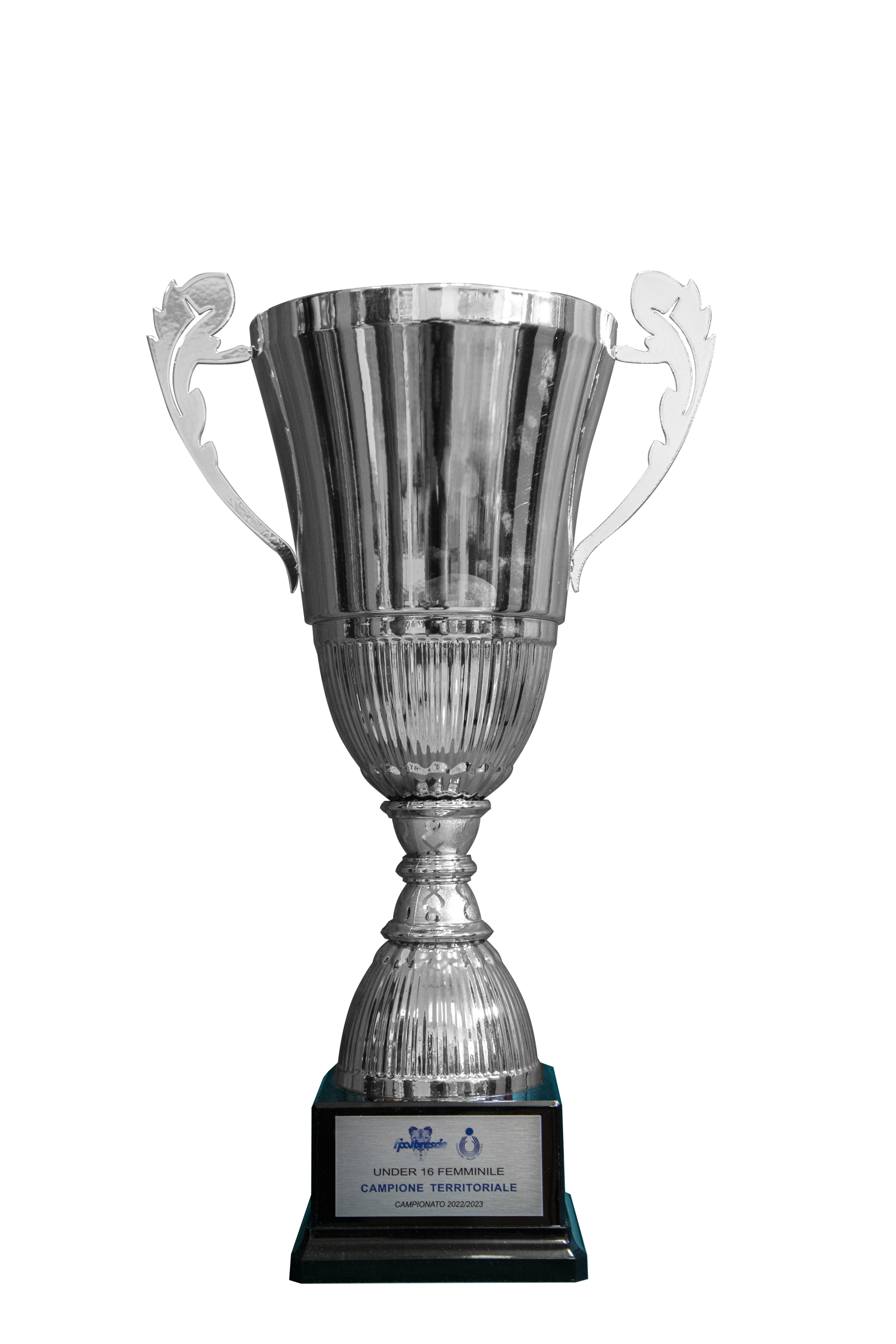Campione provinciale U16 2022-2023