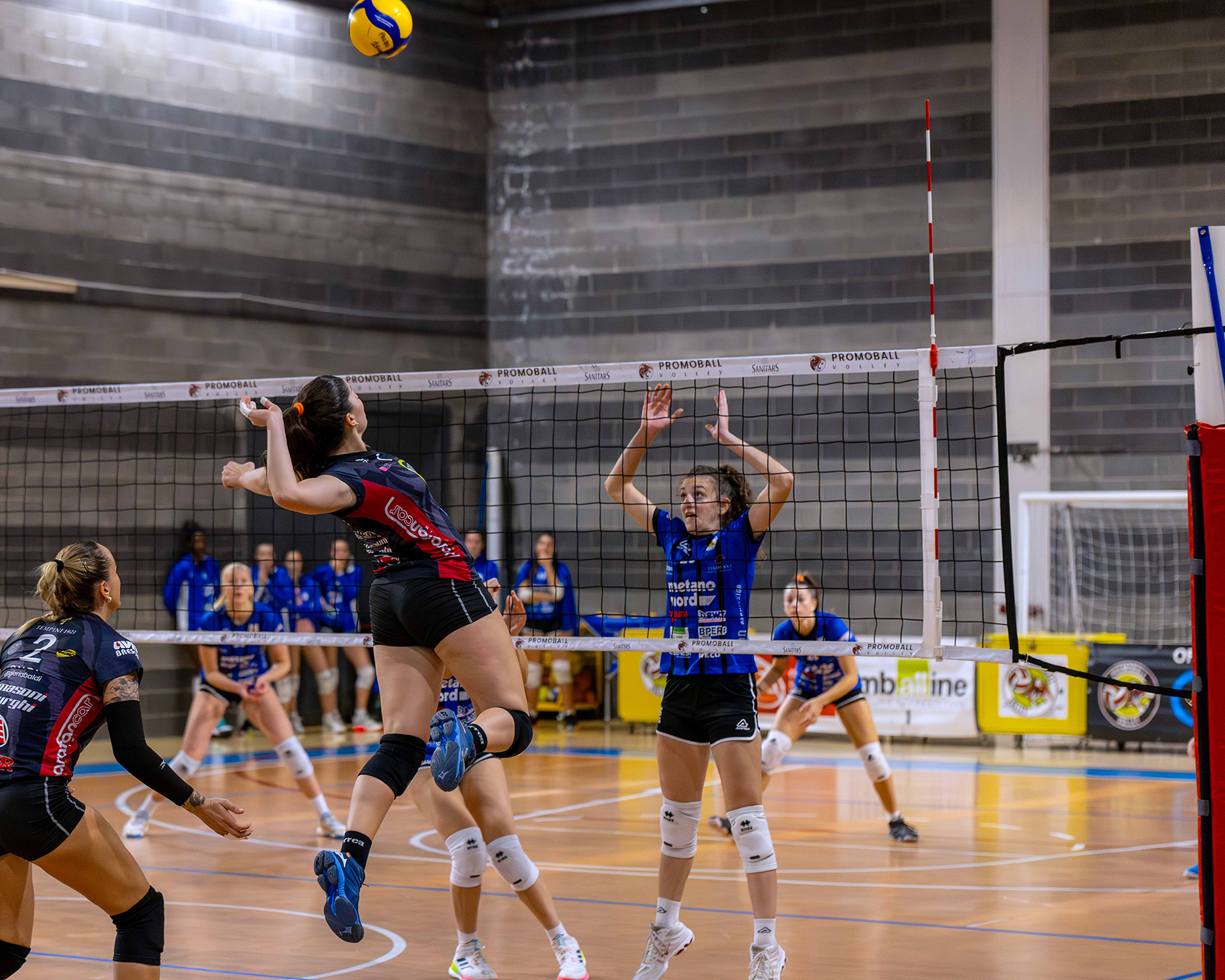 chorus vittoria Promoball