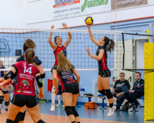 Promoball Orgiano