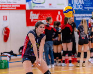 us torri promoball