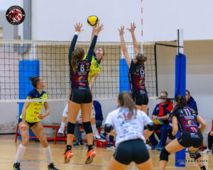 Brembo Promoball