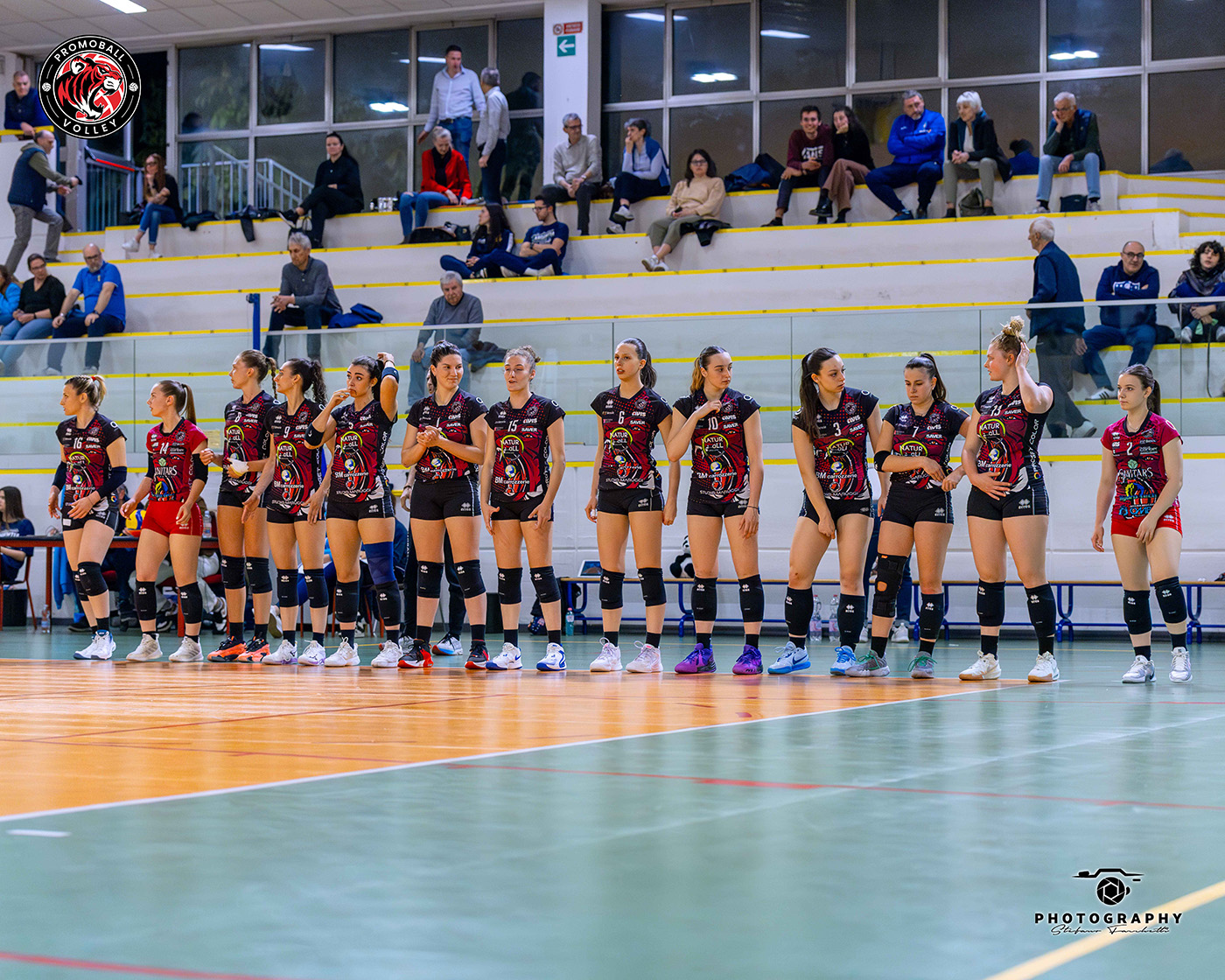 Gorgonzola promoball