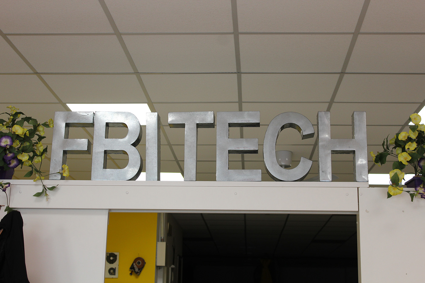fbitech Promoball