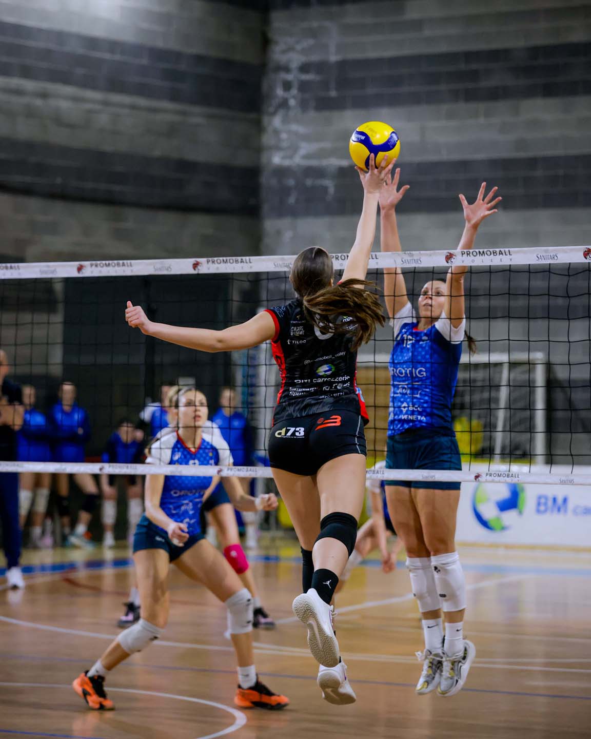 peschiera promoball